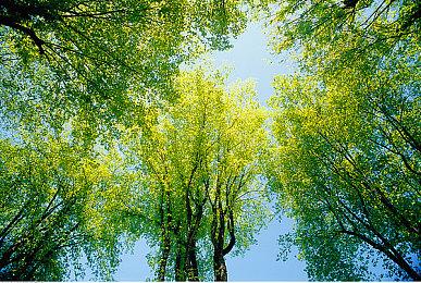 Deep Silver周间疯狂特卖 两款经典RPG史低优惠